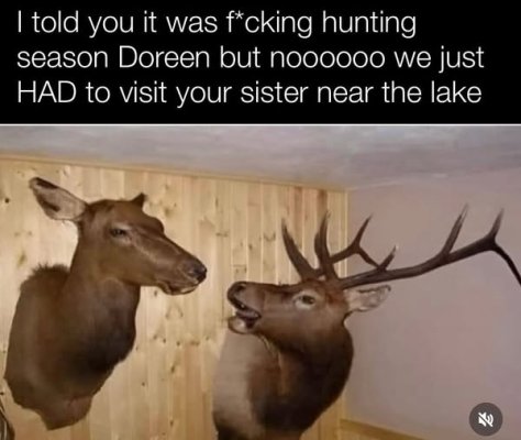 1751989008102.jpeg