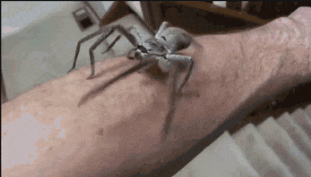 1608322298353.png