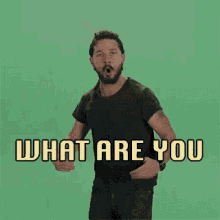 1608332028357.gif