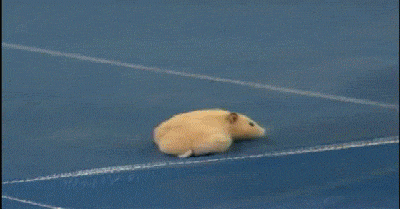 B6EBA36D-DE11-4F71-8002-3F8878B592AE.gif