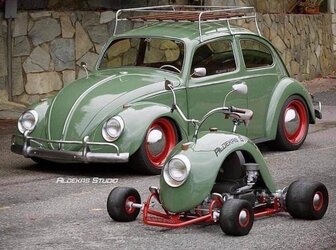 bug-cart.jpg
