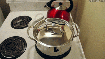 Cat soup 1.gif