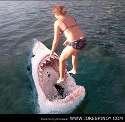Funny-Summer-Swimming-1.jpg