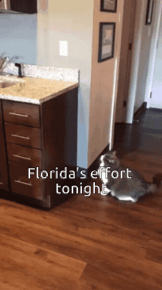 1609390463496.gif