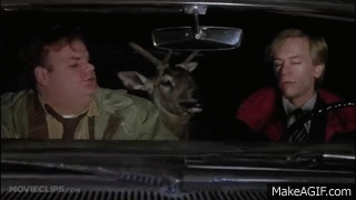 5A7889C4-E39B-4FE7-8BD4-D78ABD0407D4.gif