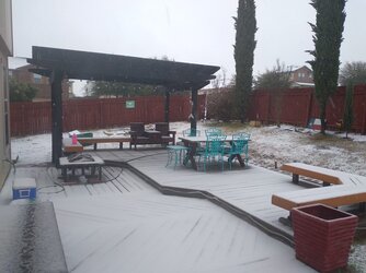 SnowDayA01102021.jpg