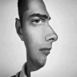 frontviewsideview.jpg
