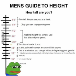 1611606782355.png