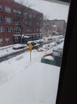 IMG_20210202_115824.jpg