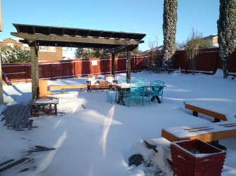 SnowDay1.jpg