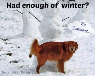 hadenoughofwinter.jpg