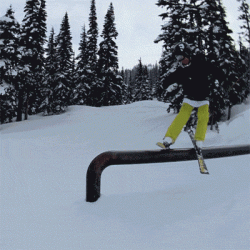 1703DB8B-42B4-4A28-87A5-CE66DB22D3C2.gif