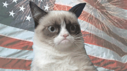 75B31DD6-BF94-4986-968A-74AEA5C03A52.gif