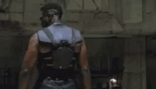 wtf-05.gif