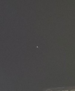 20210423_055126.jpg