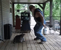 5B515909-2432-4CEA-AED8-F7FFCB9DE535.gif