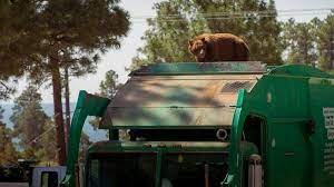 Guide Bear on trash day.jpg