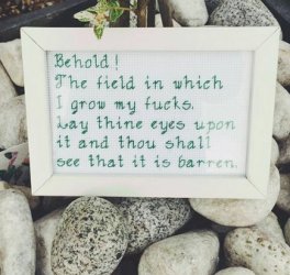 field of fucks - Copy.jpg