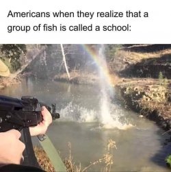 FB_IMG_1619491970067.jpg