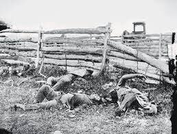 The Dead of Antietam
