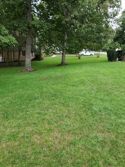 20200918_164155.jpg