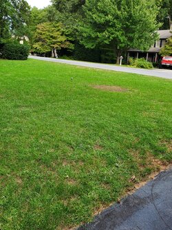 20200918_164148.jpg