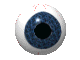 eyeball2.gif