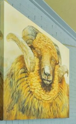 sheep.JPG