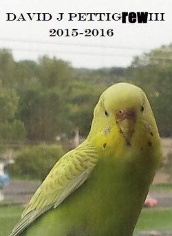 1622576098122.jpeg