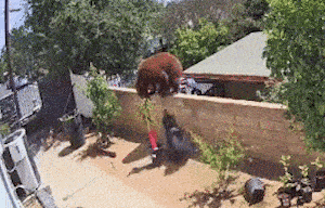 1622619759458.gif