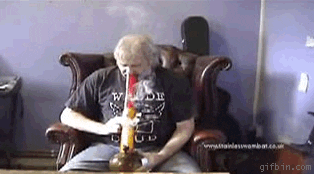giphy (3).gif
