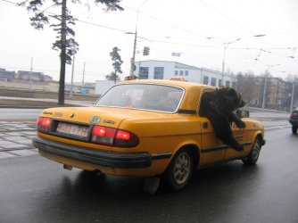 Off to the airport!.jpg