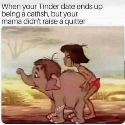 1625880508422.jpeg