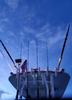 20210710_060547.jpg