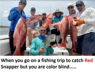 Blind Fisherman.PNG