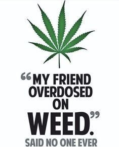 4705401_full-business-of-cannabis-quotes-weed-quotes.jpg
