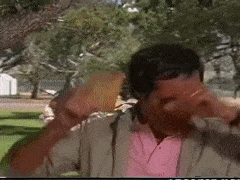 1338212C-8707-47AF-B825-685AD9BB7329.gif