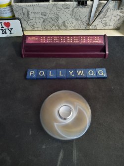 pollywog.jpg