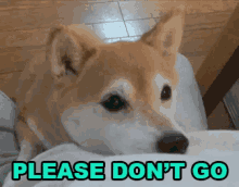 F85484E4-08E1-4F5D-A0DA-3027485DF16F.gif