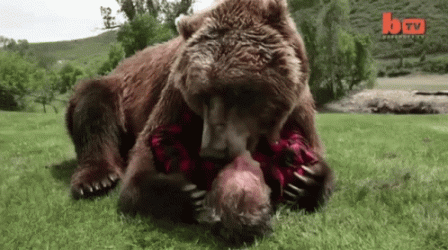 1628839038408.gif