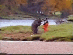 IMG_20210814_093622.gif