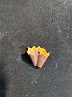 pencil shaving.jpg