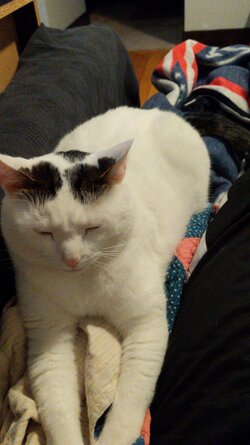 IMG-20200919-WA0000.jpeg