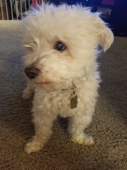 20200911_214616.jpg