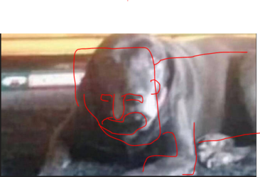1601087922759.png
