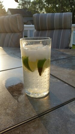 Gin 825.jpg