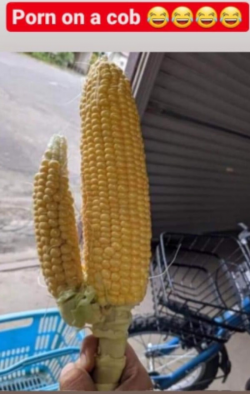 1629823779032.png