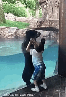 1630182564826.gif