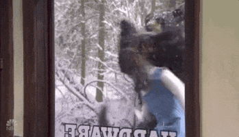 1630623033811.gif