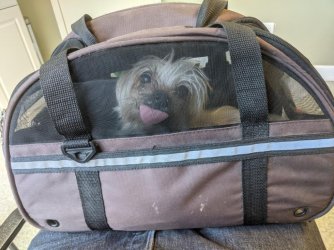 Butters wasted!.jpg